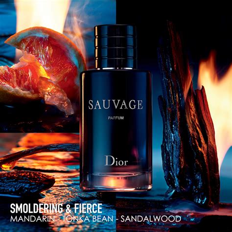 dior sauvage ingredienten|sauvage Dior for men.